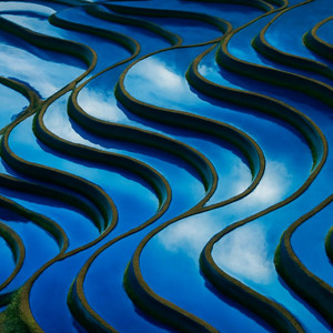 Waveform by Antuonu-Limburt