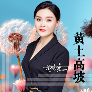 闫辽艳 - 黄土高坡 (Dj阿能版伴奏)