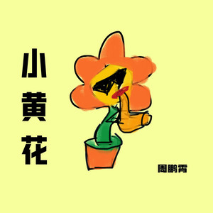 小黄花 by 周鹏霄
