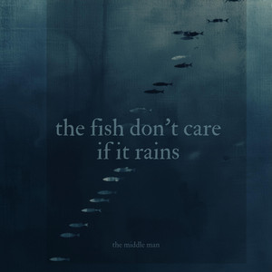 the fish don't care if it rains - ambient version by The Middle Man