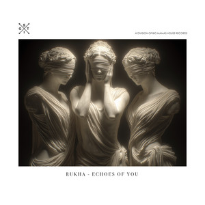 Echoes Of You - Danjel Esperanza Remix by RuKha, Danjel Esperanza