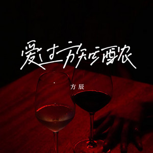 爱过方知酒浓 (DJ阿尼版) by 方辰, DJ阿尼