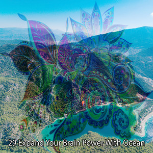 ! ! ! ! 29 Expand Your Brain Power With Ocean ! ! ! ! album