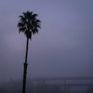 Muted Afterthought by Mr. Palms