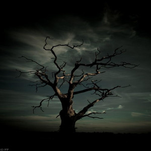 Gregory Minaya - Ahora que estas sola-Instrumental