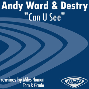 Can U See - Instrumental Mix by Destry, Andy Ward