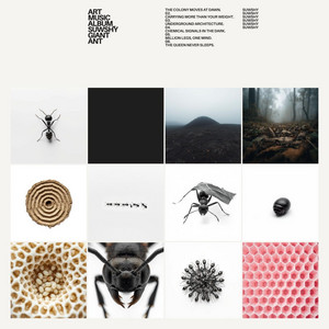 Giant Ant by Suwshy