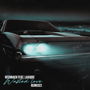 Wasted Love (feat. Lagique) - James Hype Remix