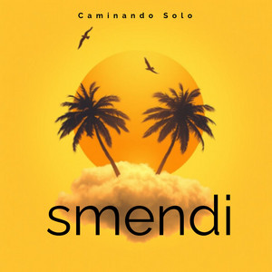 Caminando Solo by Smendi