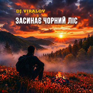 Dj Viralov - Засинає Чорний ліс (Deep House)
