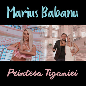 Marius Babanu - Printesa Tiganiei
