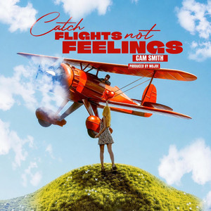 Catch Flights Not Feelings by Cam Smith