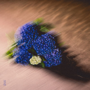 Romanha Marshmallow - Natsuyo