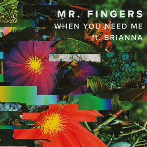 Mr. Fingers — When You Need Me (2026)