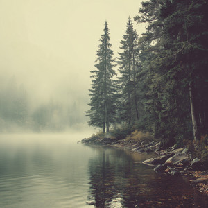 Pine Reflection by Orren Vale