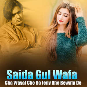 Saida Gul Wafa - Da Herodo Na Ye Janana