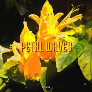 PETAL WAVES by ZORIK