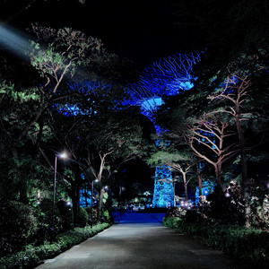 Sleeping Streets by beautiful avenues