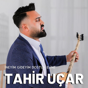 Tahir Uçar - Gelmedi
