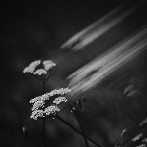 Zenithal by Eternalistic