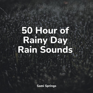 50 Hour of Rainy Day Rain Sounds album