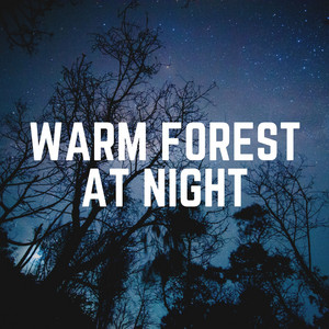 Warm Forest At Night album