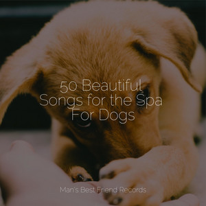 50 Beautiful Songs for the Spa For Dogs album