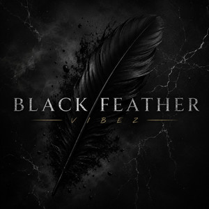 Black Feather by Music&Vibez