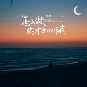 Yuan Tian - 怎么做你才会心疼我 (DJ铁柱版伴奏)