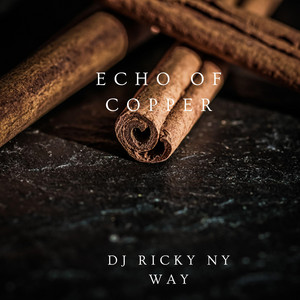 echo of copper by Dj Ricky Ny Way