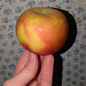 applecutter01 by applecutter01