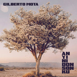 An Yi Ni Don Son Ku by Gilberto Mota