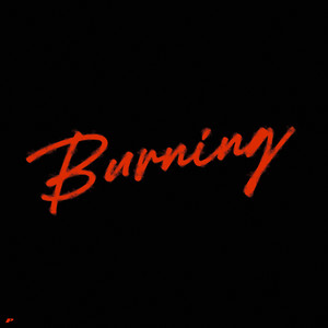 Burning by Witts, Oktay Babalitas
