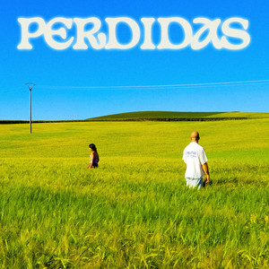 perdidas by Disson