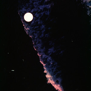 Something Extraterrestrial by Casa Pilorci