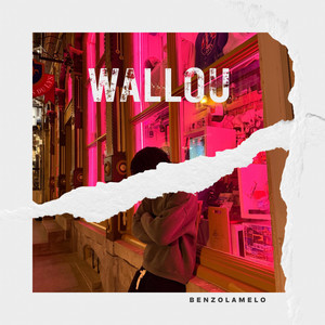WALLOU by Benzolamelo