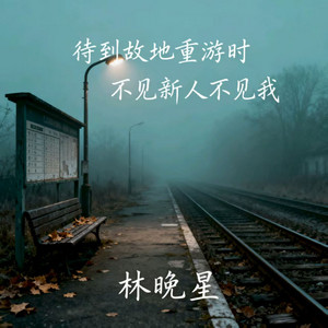 林晚星 - 别让我放不下你(我还记得第一面见到你)