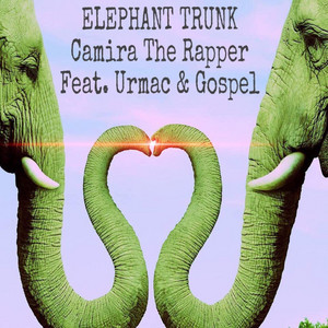 Portada de Elephant Trunk