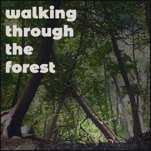 Walking Through the Forest by Kubuch