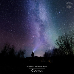Cosmos by Niclas W., The Maple Moods, Tape & Tea Music