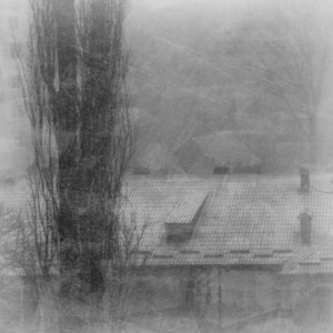 Vernadsky — Purga