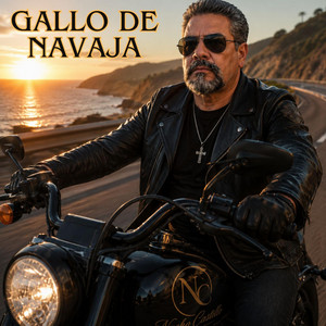 Gallo de navaja, by NACHO CASTILLO