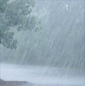 Soothing Rain for Background Sounds and Natural White Noise album