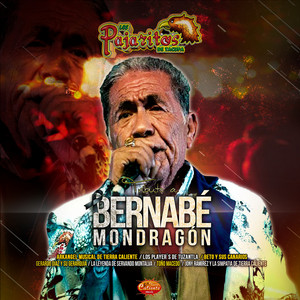 Los Pajaritos de Tacupa, Arkangel Musical de Tierra Caliente, Los Player's de Tuzantla, Beto y Sus Canarios, Gerardo Díaz y su Gerarquia, La Leyenda de Servando Montalva, Toño Macedo & Jony Ramirez y La Simpatia de Tierra Caliente - Tributo a Bernabé Mondragón