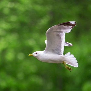 Piano by VN - Gözlerini Kapa ve Dinle