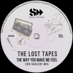 The Way You Make Me Feel by The Lost Tapes, Seb Skalski