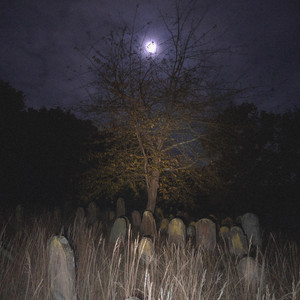 white rabbit's bells by Tomb Gazer