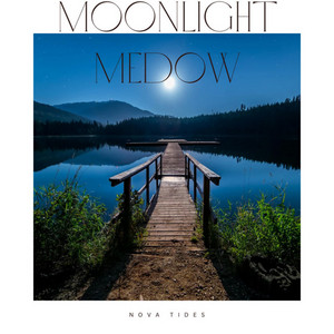 Moonlight Meadow by Nova Tides