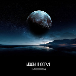 Moonlit Ocean by Eleanor Donovan