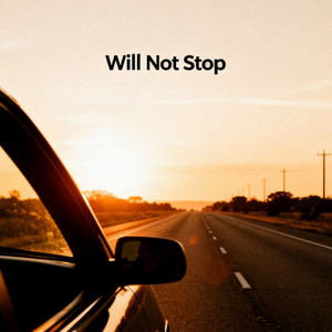 Will Not Stop by Lawrence Torres